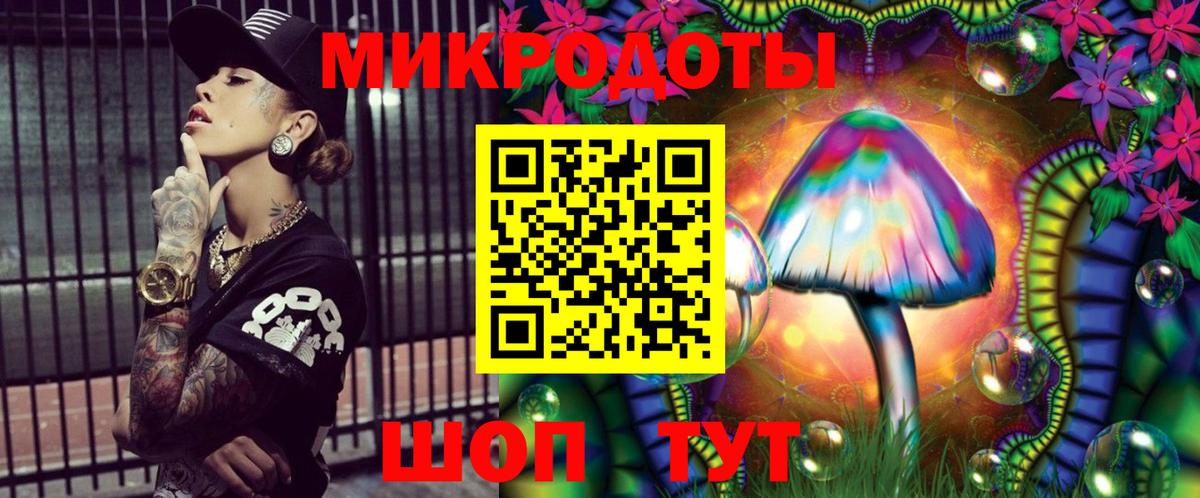 Псилоцибиновые грибы мухоморы  купить наркоту  Вход с VPN  Петровск  Галлюциногенные грибы Psilocybe 